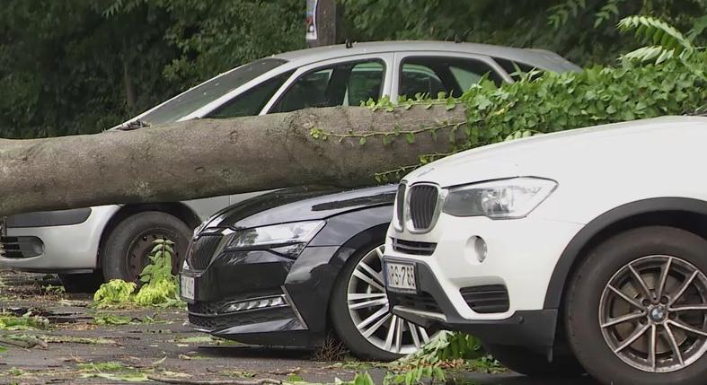 Radar – Letarolt házak, kidőlt fák – mit térít meg a biztosítás?  videó