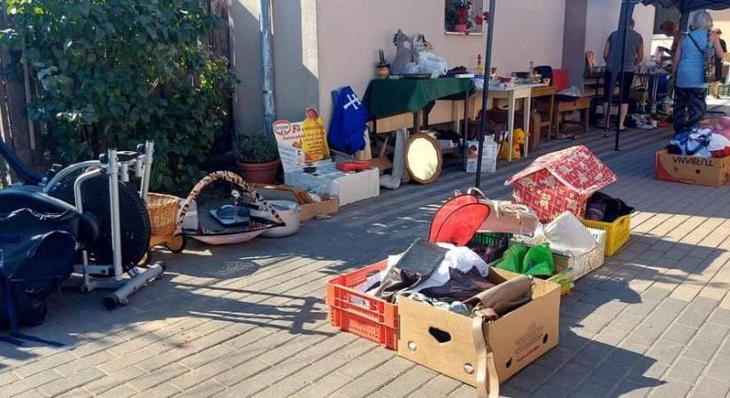 Megunt holmikkal segíthetünk a mentett állatoknak Debrecenben
