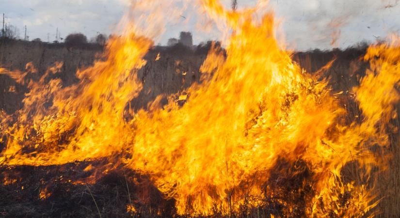 Lángra kapott a tarló, veszélyben a gabona, folyamatosan érkezik a segítség
