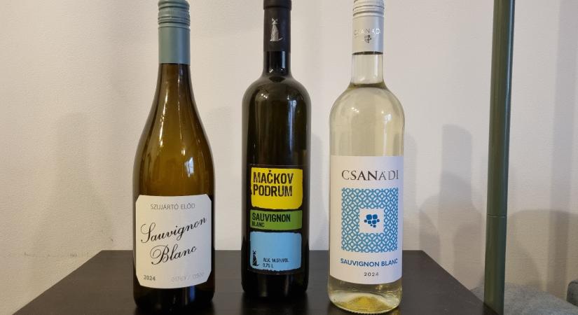 Da bibere – Sauvignon Blanc-túra a Duna mentén