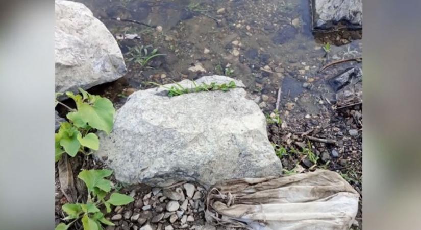 Három zsáknyi emberi maradványt sodort partra a Tisza Szolnoknál
