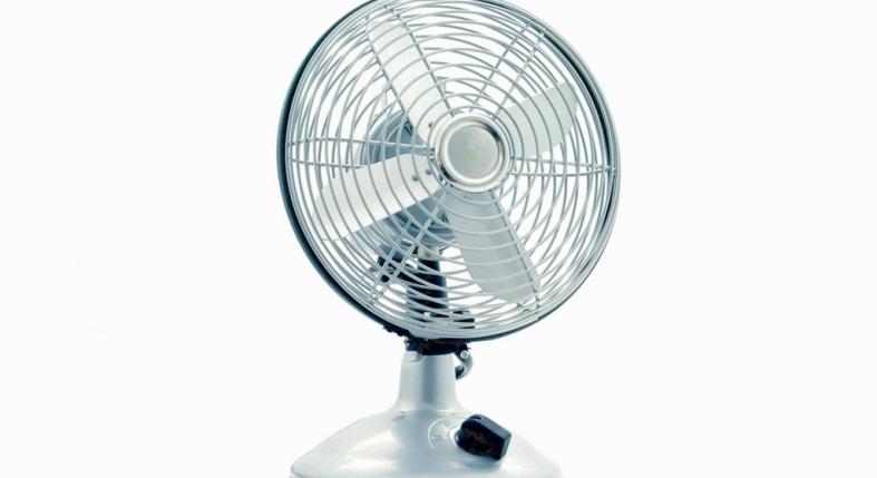 Ventilátorral hűtenéd a kutyád? Nem biztos, hogy jó ötlet!