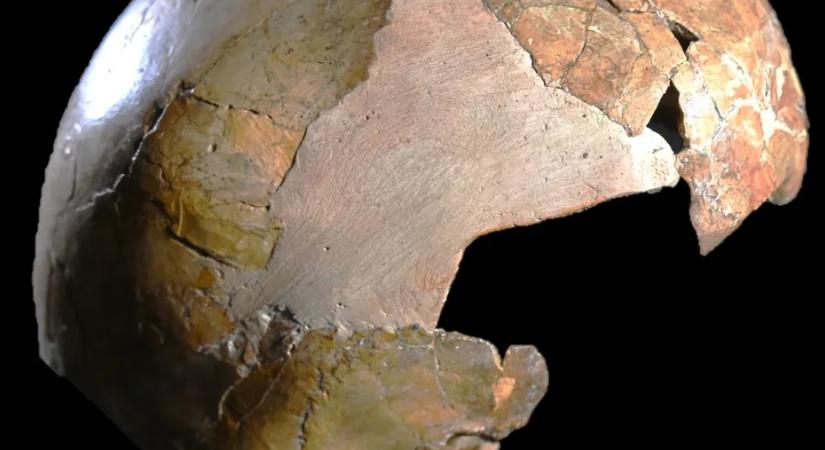 140 ezer éves neandervölgyi-sapiens hibrid koponyát találtak – de lehet, hogy nem is