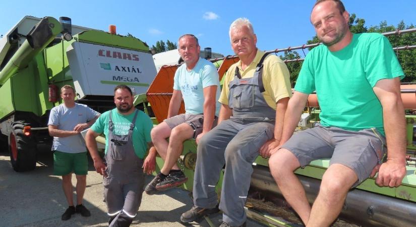 Kukoricának, napraforgónak életmentő volt az eső, a búza már nem kéri, aratnának a gazdák