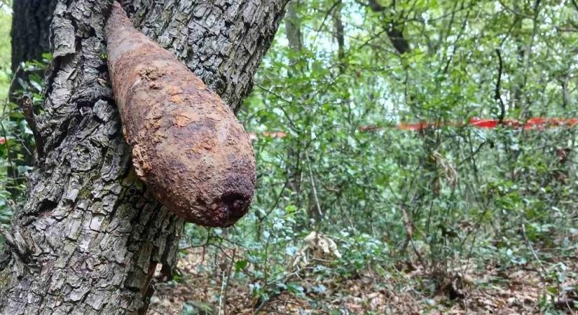 Bombát találtak a túrázók a népszerű hazai kirándulóhelyen