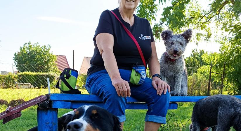 Sok győri álma lenne helyben egy kijelölt kutyás strand