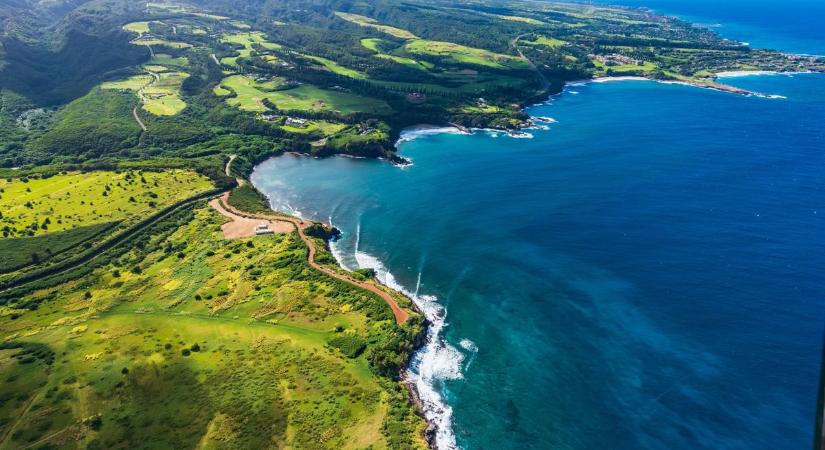 Egy apró bogár is pusztító lehet: Hawaii kultúráját és klímaállóságát fenyegeti