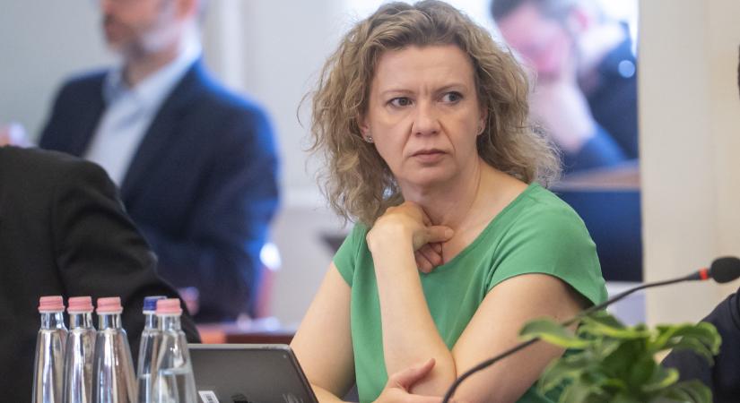 Eltérnek Kollár Kinga vagyonnyilatkozatai, bajba is kerülhet miatta