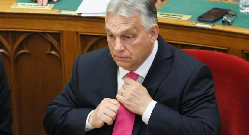 Papp Réka Kinga: Orbán mérhetetlenül gyáva