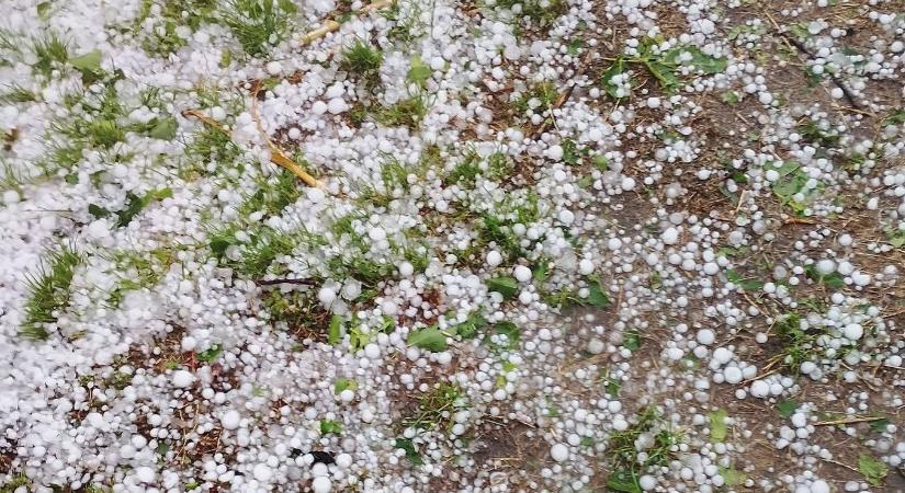 Elverte a jég Iași megyét, oszlopok dőltek az utakra – Vörös riasztás Neamț és Iași megyére