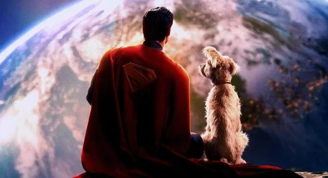 Örökbefogadási hullámot indított el a terrier-schnauzer keverék Krypto