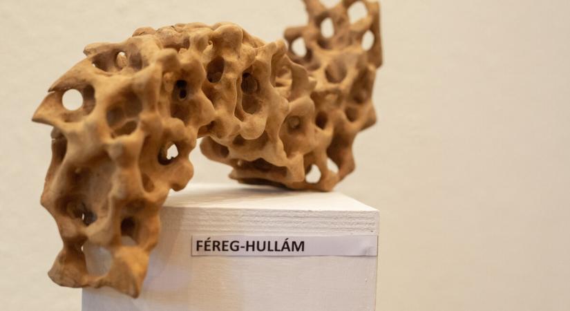 Férgek, hangya, dió – természetközeli szobrokból nyílt tárlat az Egry Galériában