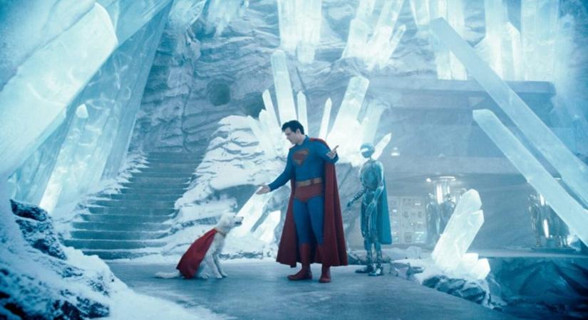 Megugrott a menhelyi kutyák örökbefogadása az új Superman-film miatt