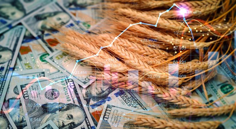 BRICS gabonacsere: Ebbe beleremeghet a magyar exportpiac is