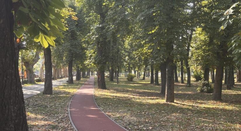 Elkezdik a Bunyitai-liget felújítását Nagyváradon