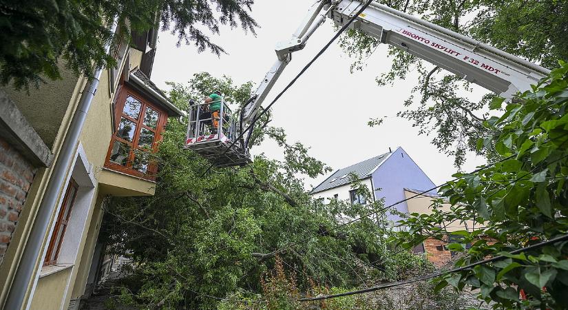 Rohamtempóban a biztosítók, a vihar hatszoros munkát biztosít nekik