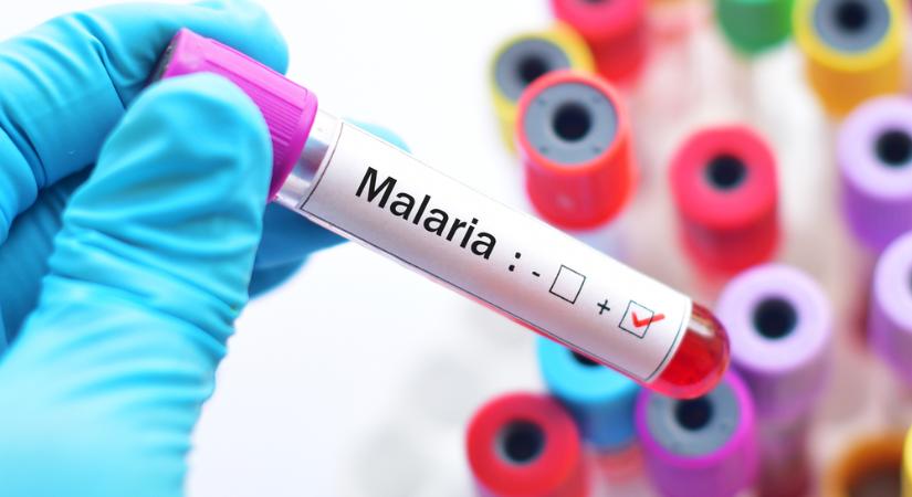 Két maláriás esetet is nyilvánosságba vettek Kijevben egy tanzániai utazást követően