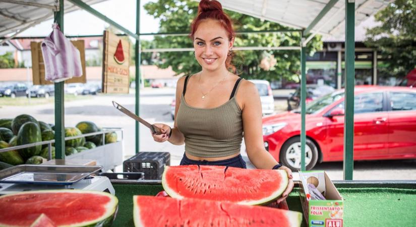 Rárepült a kormányhivatal a szabolcsi dinnyésekre, itt a razzia sokatmondó eredménye
