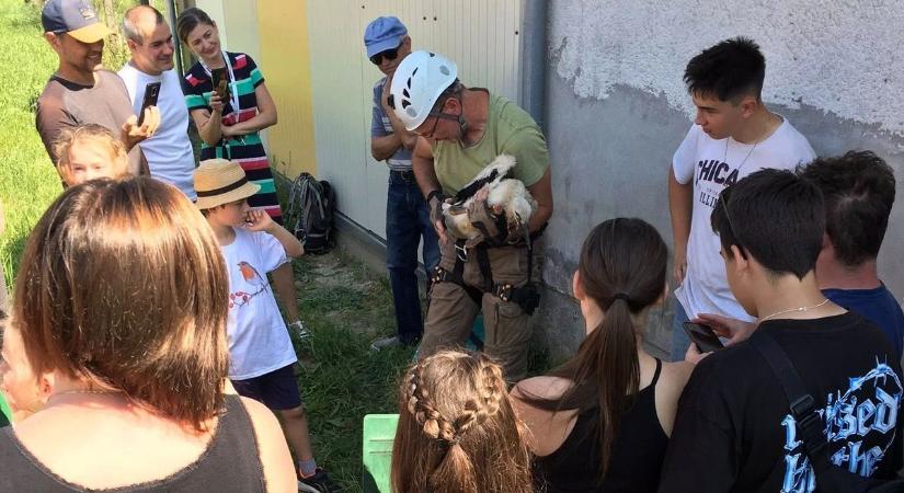Toponárra várják a segítséget a két bajba jutott gólyának
