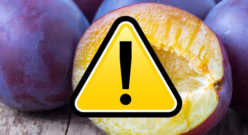 Ebben a fagyasztott szilvában nem engedélyezett növényvédő szert talált a NKFH - ne egye meg, vigye vissza a Tescoba!