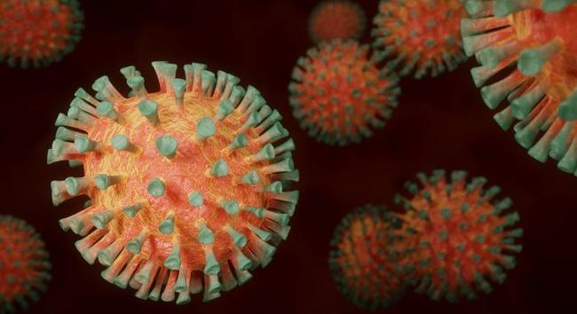 A nap legfontosabb koronavírus-hírei egy helyen – január 16.