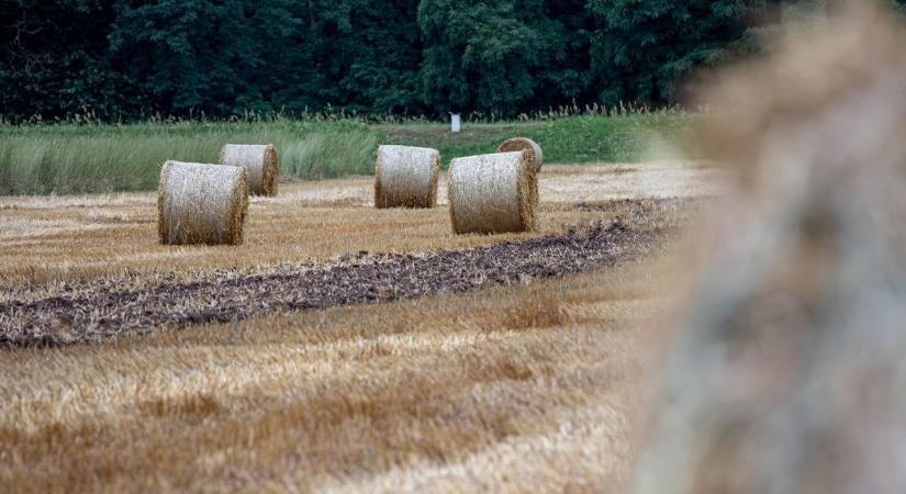 Belenyúlt a szupercella a borsodi aratásba, a nagy vihar után szinte az összes gép megállt