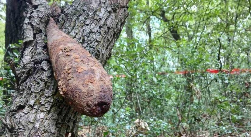 Második világháborús bombát találtak a Mátrában túrázók