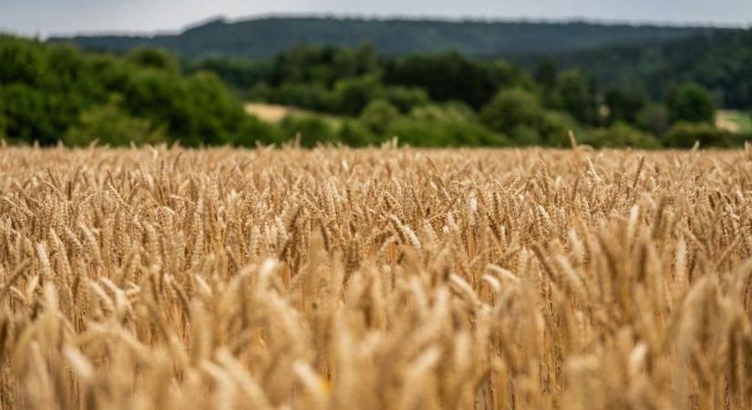 Elemző: a magyar gazdák kárára finanszírozná Ukrajnát az EU