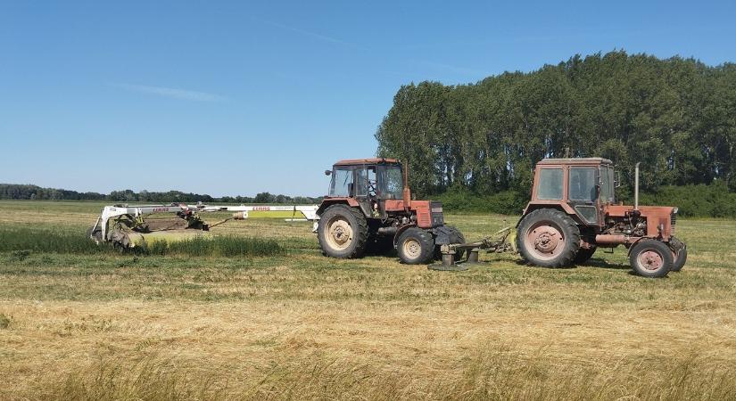 3 napos időjárás-előrejelzés: Nem sokáig hűsölhetünk, visszatér a hőség
