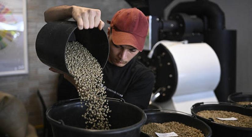 Koffein nélkül is pörögnek az amerikai kávékereskedők, megisszuk ennek még a levét