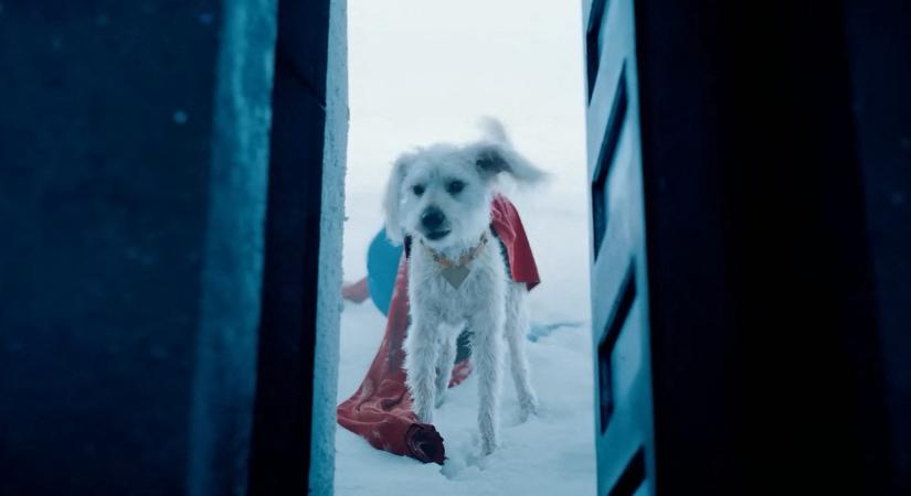 Kutya örökbefogadási hullámot indított el az új Superman film