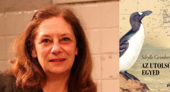 Létezhet barátság pingvin és ember között? Olvass bele Sibylle Grimbert Az utolsó egyed című regényébe!