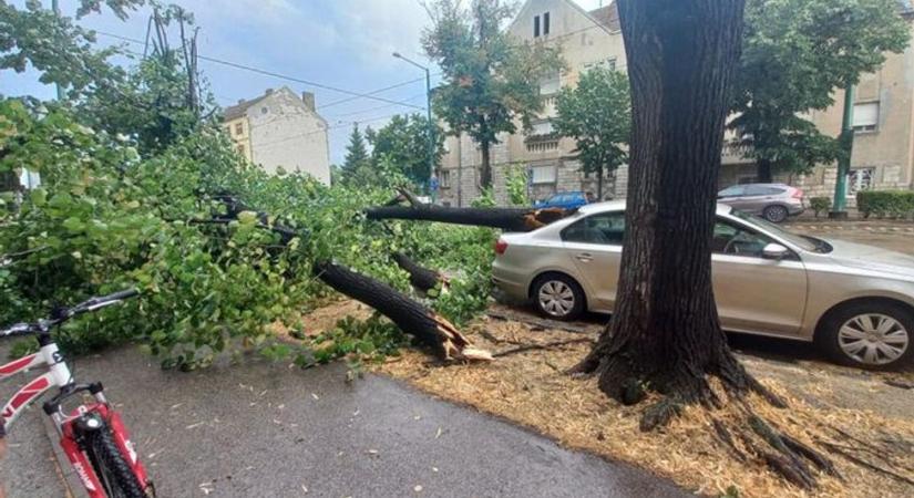 Ezt jó lenne eltanulni a szegediektől!