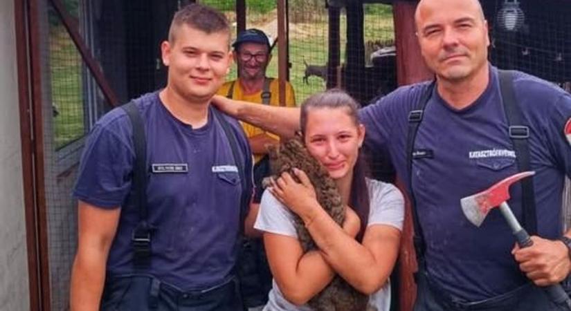 Egy teljes napot töltött fogságban, végül a tűzoltók szabadították ki az ijedt állatot