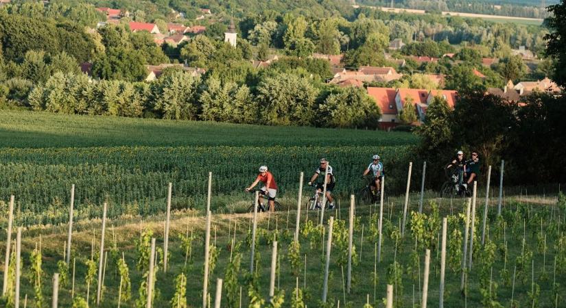 Egy nap, ami a baranyai fehérborról szól: jön a Tour de Blanc (VIDEÓ)