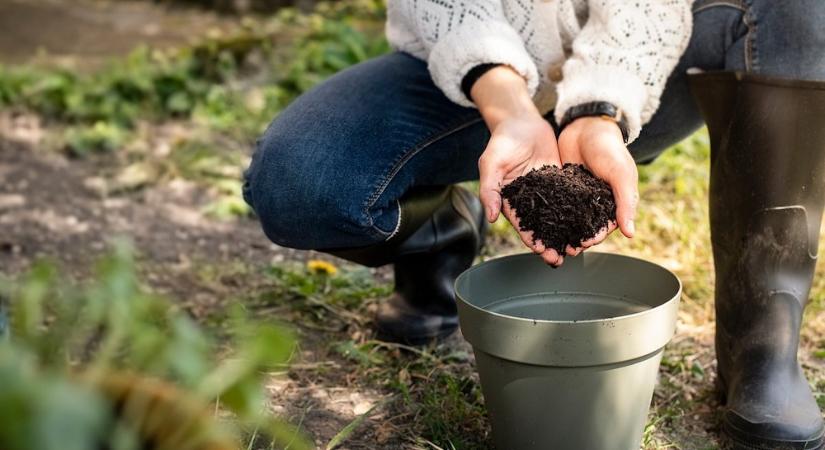 Így készíts saját komposztteát – természetes növénytáp a kertedből