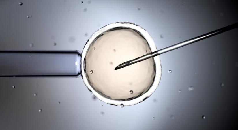 Három ember DNS-éből születtek gyerekek az Egyesült Királyságban