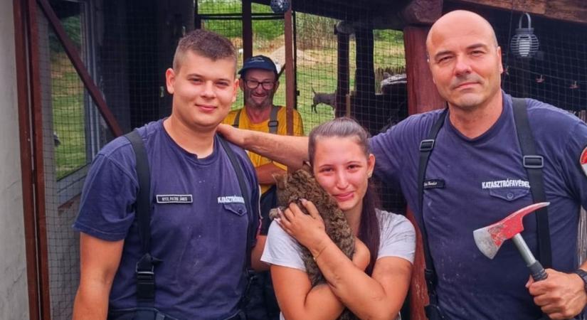 Kéményakció balul sült el – tűzoltók mentették ki a „kémmacskát”