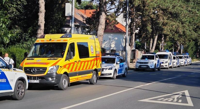 Paragvári utcai balhé: kórház és előállítás
