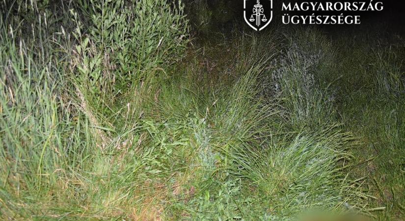 Közös drogozás után meghalt a férfi, barátja a bokrok közé rejtette