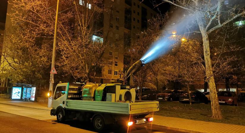Folytatjuk az éjszakai permetezést Óbuda vadgesztenye fáinak védelmében
