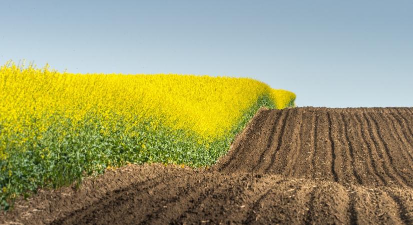 Bemutatjuk a méltán elismert Cimbria Delta tisztítógépet