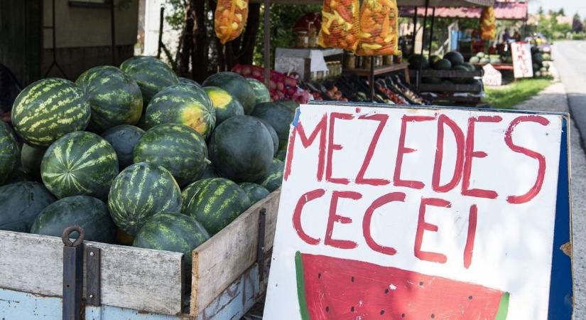 Cecei Dinnye Nap, a mézédes hagyomány