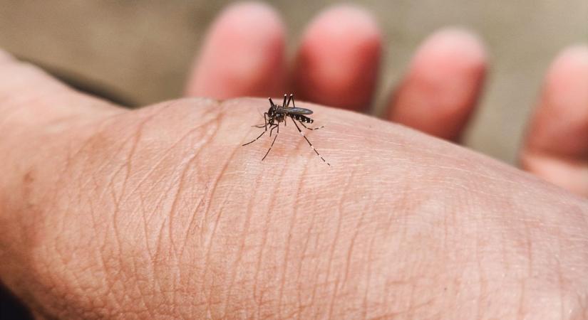Ez nem ködösítés: mégsem indul el Szolnokon a „ködösítő autó"