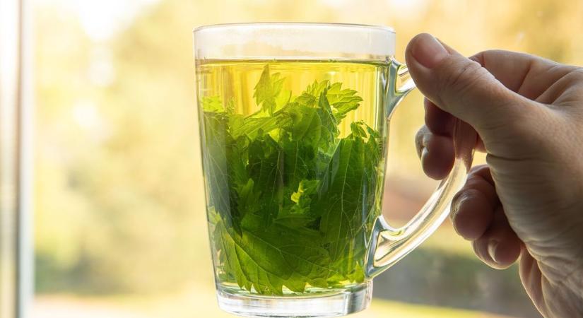 Ne idd meg!? Szennyeződés gyanúja miatt került le a boltok polcairól egy ismert tea
