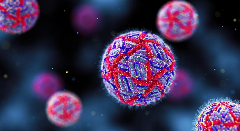 Most közölte az NNGYK: maláriás és dengue-lázas betegeket regisztráltak itthon, így terjed a kór