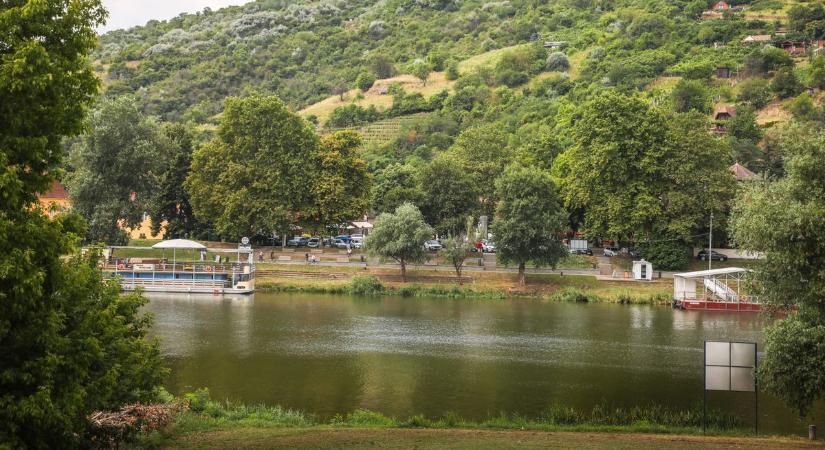 Egy hatalmas férfi felsőtest tartja izgalomban Tokajt  fotók, videó
