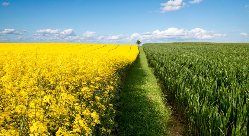 Megjelent az Agro Napló friss száma: ez most sokaknak hasznos lehet