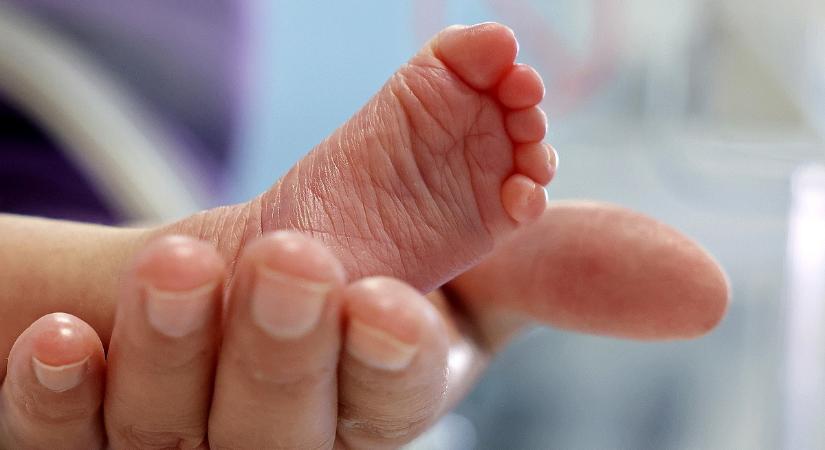 Egyre később és egyre kevesebb gyereket vállalnak a németek