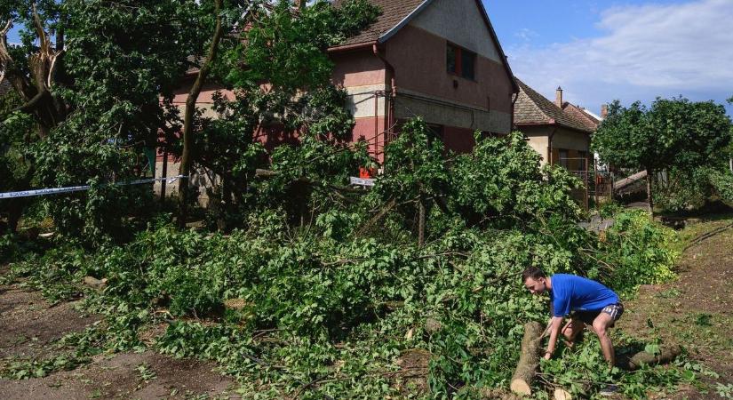 Hiába telt el másfél hét, Vásárhely a vihar után még mindig olyan, mint egy katasztrófa sújtotta övezet